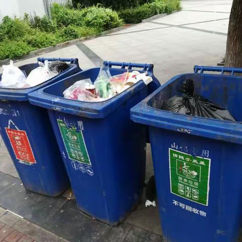 8月20日南定镇中片区创城督查