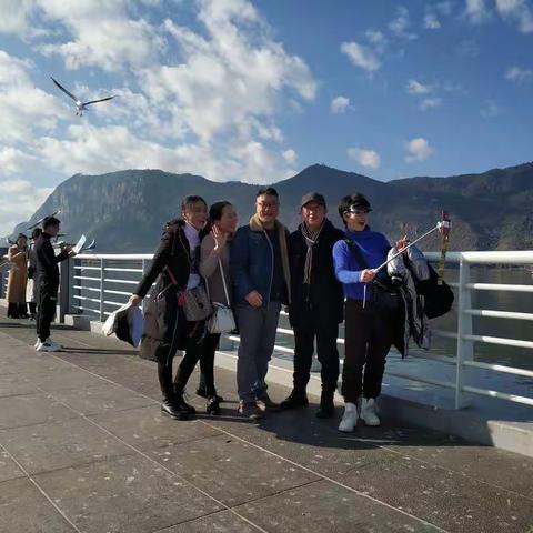 2019.12.20海埂大坝看海鸥。