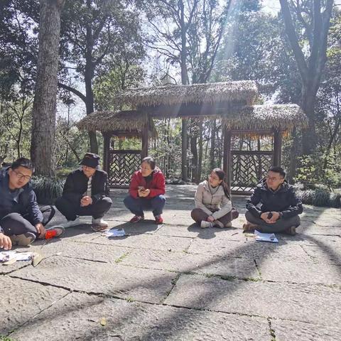 323为植物命名和颜色密码