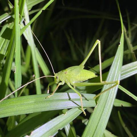 老邻居新邻居一起夜观