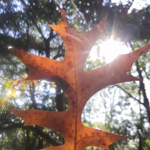 收获满满的周三