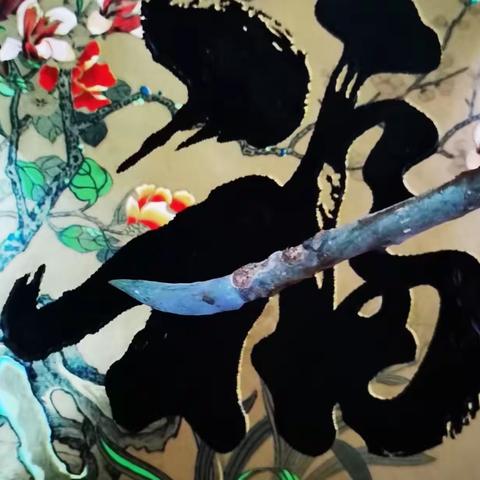 观察一棵树——玉兰，大树和小树妙笔生花