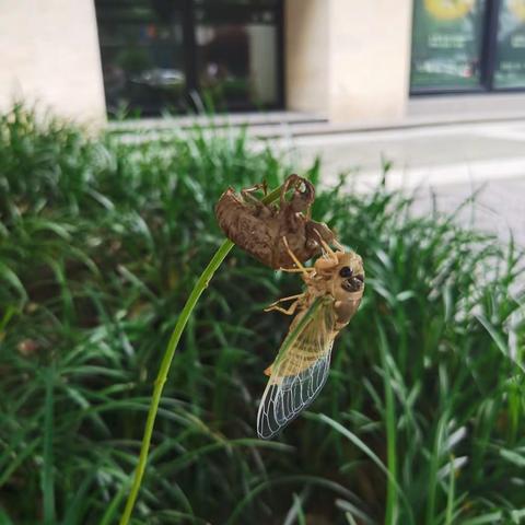 自然奇妙夜（九堡相江）