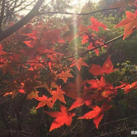 益智幼儿园中二班--孩子们的成长