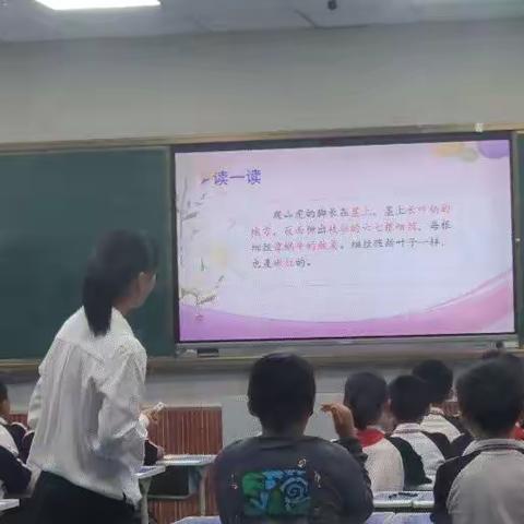 聚焦核心素养，打造高效课堂——单县舜师路小学开展校内公开课活动