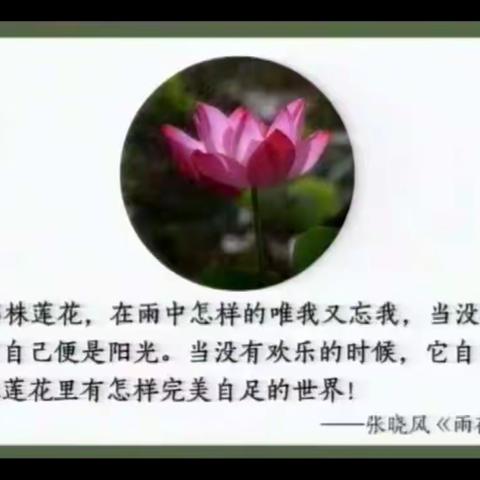 【业精于勤，行成于思】——新市场小学语文教师走进名师大家