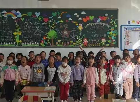 🌞小小雏菊向阳开