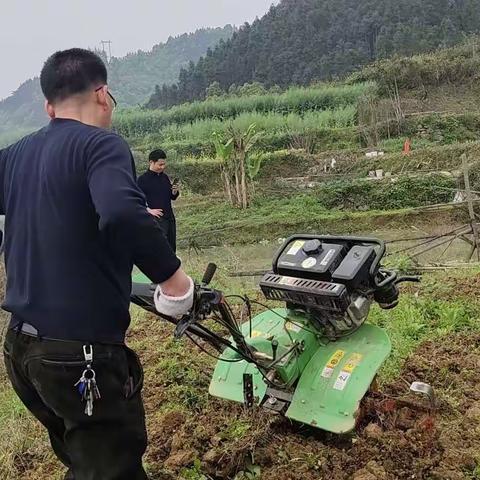 喜耕田