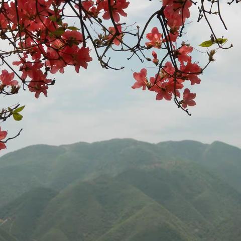 扶王山