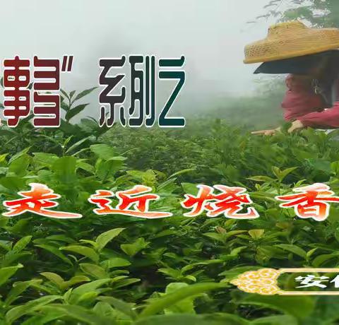 走近烧香尖