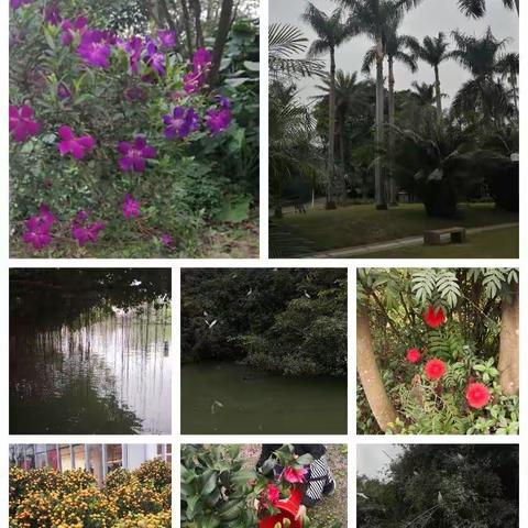 南国的冬日，似北国的秋！