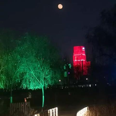 夜晚的公园真的很美……