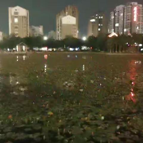 朋友，请偶尔放慢脚下的步伐！