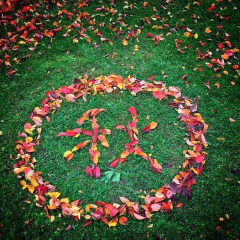 🔆美丽彭祖园，欢乐秋天行﻿——“新教育每月一事”之金龙湖小学三年级秋季研学活动🔆