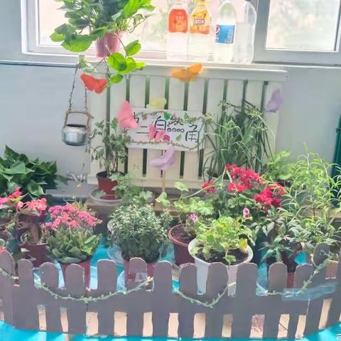 白庄中心幼儿园——中二班【教室门口的小花园】自然教育活动