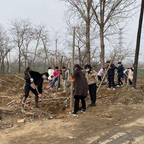 春风送暖意 忙种添新绿 ——留村乡开展植树节活动