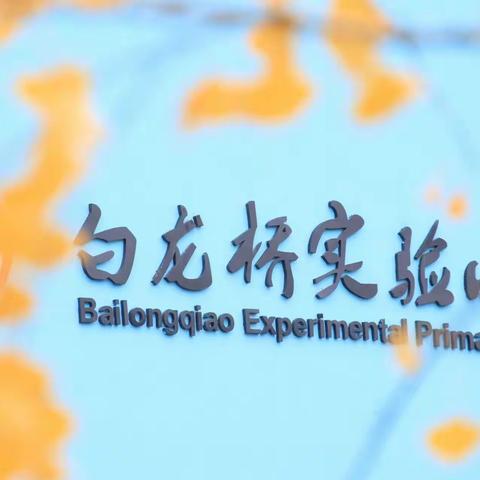 【百家讲坛】白小二6中队战争与和平小课堂开课啦