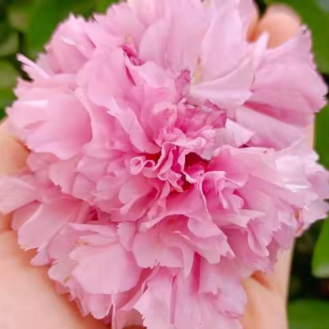 感恩遇见(向阳而生)