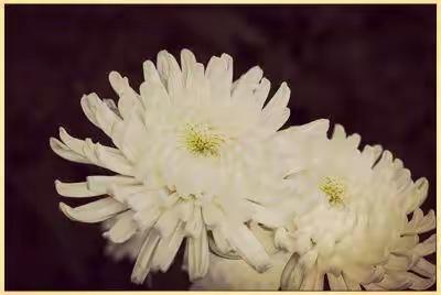 奶奶，我好想你