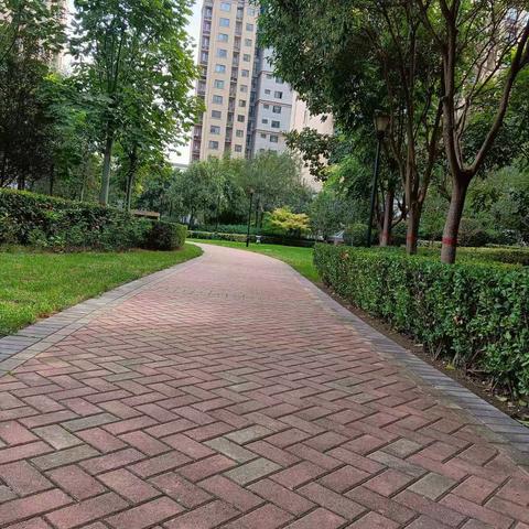 桃溪苑十月工作总结