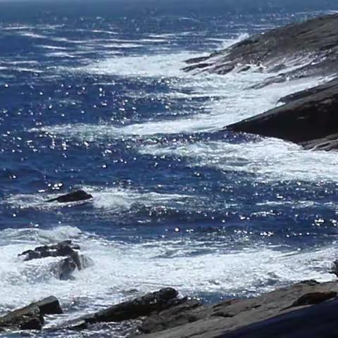 涛声浪语