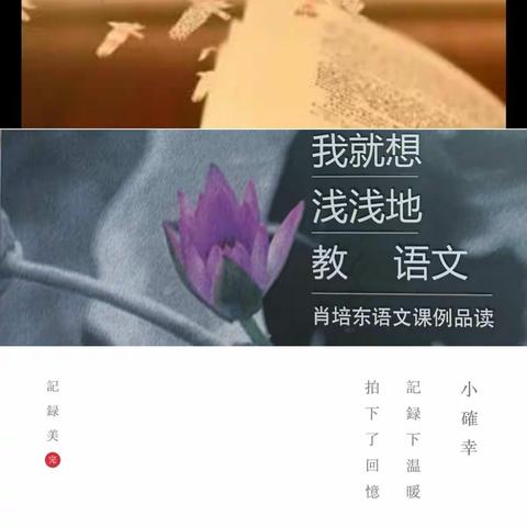 读书之乐乐无穷，瑶琴一曲来薰风——邱县初中语文石淑霞名师工作室阅读与分享活动