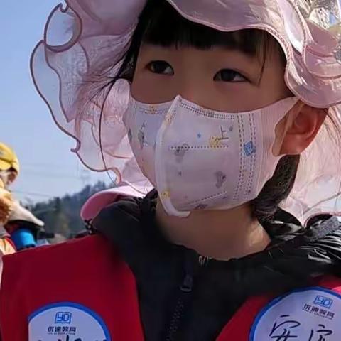 青苗成长营|| 大自然研学营.带孩子拥抱大自然