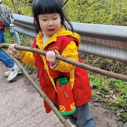 青苗成长营|| 大自然研学营.带孩子拥抱大自然