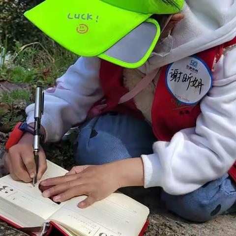 青苗成长营|| 大自然研学营.带孩子拥抱大自然