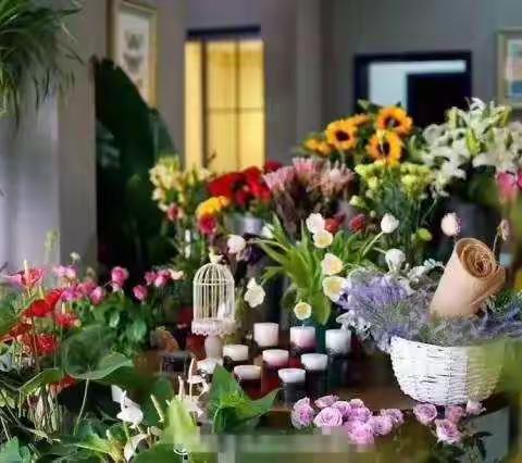 鸿蒙"花”样幸福，亲子花艺DIY