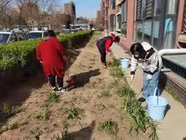 馨悦家园社区开展周末清洁日活动