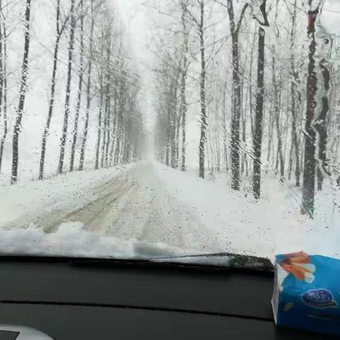 雪后的家乡