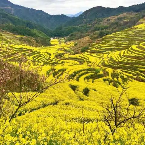 婺源之篁岭