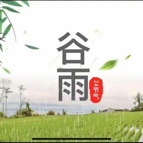 🌾谷雨时节说谷雨🌾