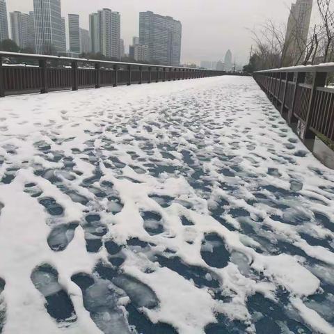 铲雪除冰畅民心，党员干部雪中行