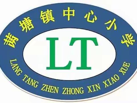 结对帮扶见成效，齐聚一堂展未来——罗城城中小学到𬜯塘镇中心小学开展实地调研校园文化建设及少先队工作