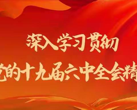 大江口镇中心小学党支部——深入学习贯彻党的十九届六中全会精神宣讲会