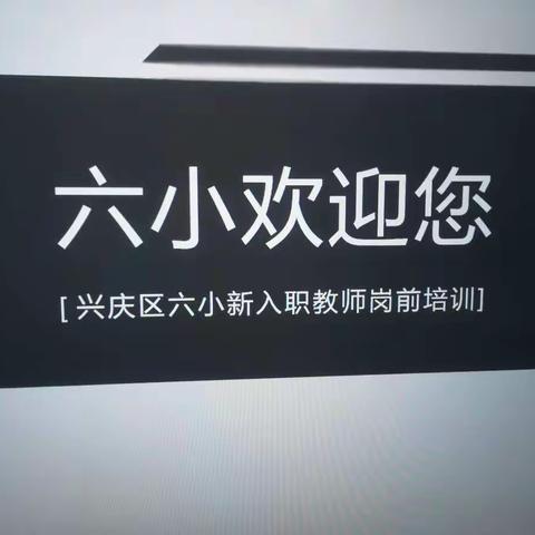 你若盛开，蝴蝶自来，你若明媚，阳光自在-兴庆区第六小学新入职教师岗前培训