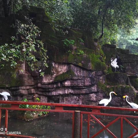 人生就像是一场旅途，生命必须阳光