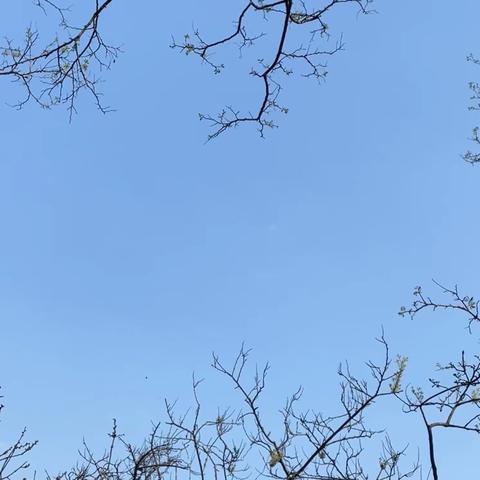 记饮泉小学青年团队2022-2023第十次研修活动