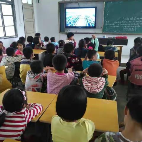 厉害了，我的国