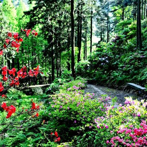 孩子们“妙笔生花”〈第二辑〉