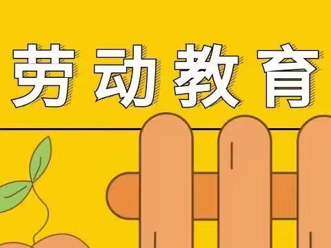 【综合实践】郓城县利民小学六年级三班居家劳动课纪实——劳逸结合 全面成长