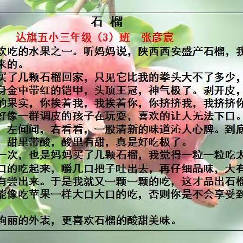 我们眼中的缤纷世界