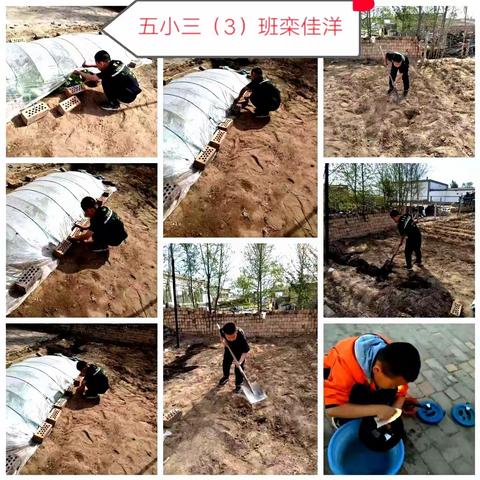 劳动勤于手,美德践于行——达旗第五小学三3班五一国际劳动节实践活动2022.5.1