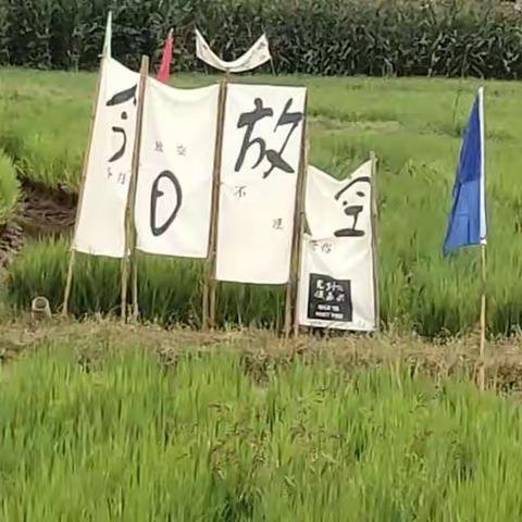 姐妹爬山组合———2022年10月2日