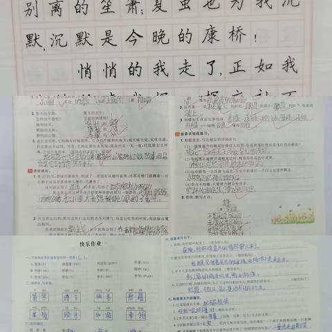 展评作业分享收获——田庄小学五（二班）作业展示