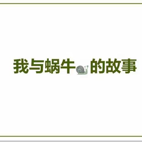 乌丹第二幼儿园【怡趣课程】—大三班——我与蜗牛的故事