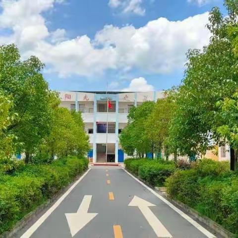 不负盛夏光阴，追光绚烂成长——曲濑镇长乐小学暑期夏令营纪实