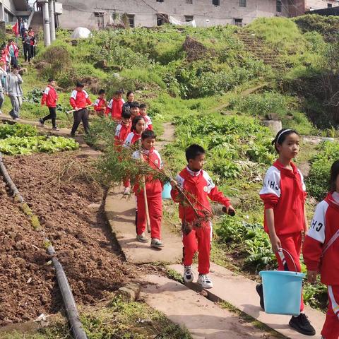 3月9日两河小学开展“种一棵小树 绿一方净土”学雷锋月植树活动